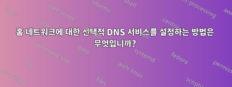 홈 네트워크에 대한 선택적 DNS 서비스를 설정하는 방법은 무엇입니까?