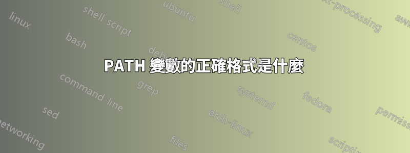 PATH 變數的正確格式是什麼