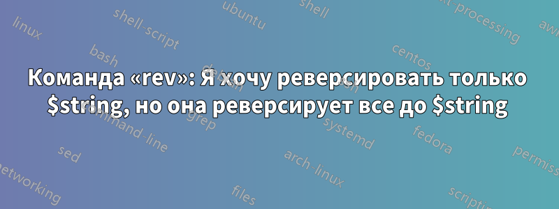 Команда «rev»: Я хочу реверсировать только $string, но она реверсирует все до $string