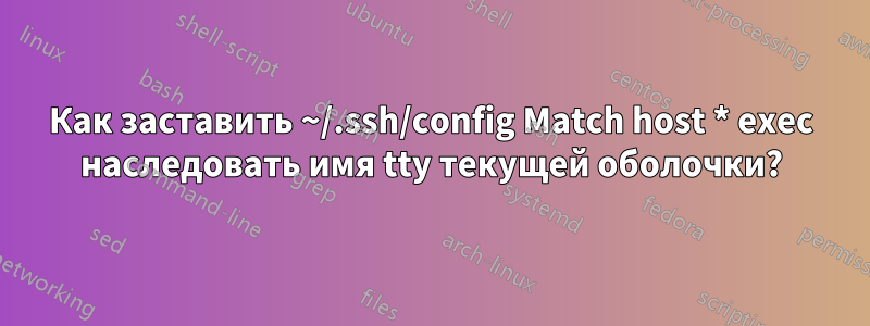 Как заставить ~/.ssh/config Match host * exec наследовать имя tty текущей оболочки?