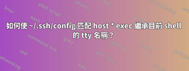 如何使 ~/.ssh/config 匹配 host * exec 繼承目前 shell 的 tty 名稱？