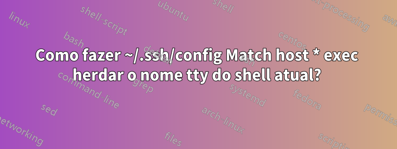 Como fazer ~/.ssh/config Match host * exec herdar o nome tty do shell atual?