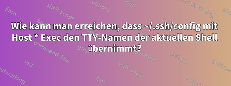 Wie kann man erreichen, dass ~/.ssh/config mit Host * Exec den TTY-Namen der aktuellen Shell übernimmt?