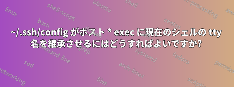 ~/.ssh/config がホスト * exec に現在のシェルの tty 名を継承させるにはどうすればよいですか?