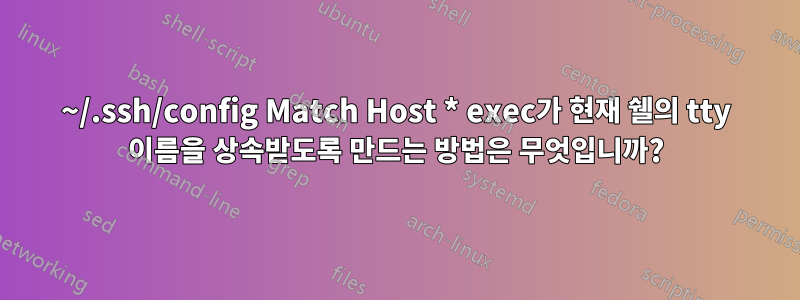 ~/.ssh/config Match Host * exec가 현재 쉘의 tty 이름을 상속받도록 만드는 방법은 무엇입니까?