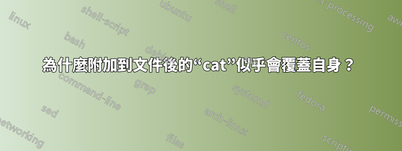 為什麼附加到文件後的“cat”似乎會覆蓋自身？