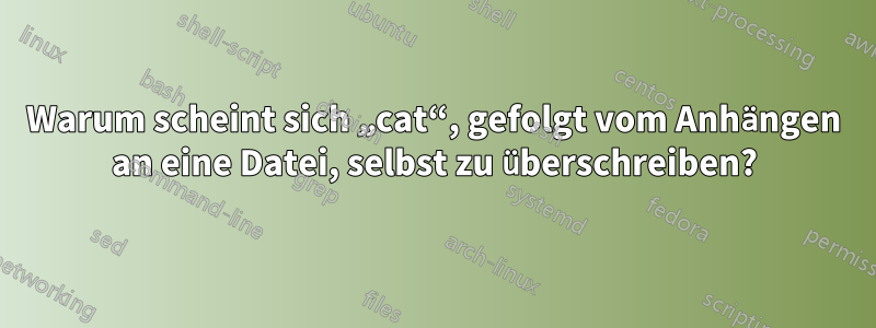 Warum scheint sich „cat“, gefolgt vom Anhängen an eine Datei, selbst zu überschreiben?