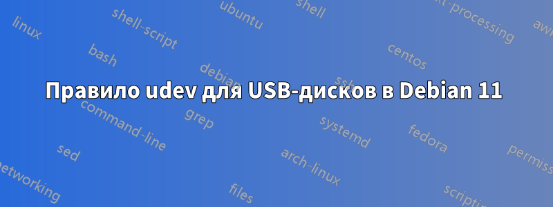 Правило udev для USB-дисков в Debian 11