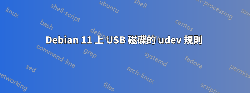 Debian 11 上 USB 磁碟的 udev 規則