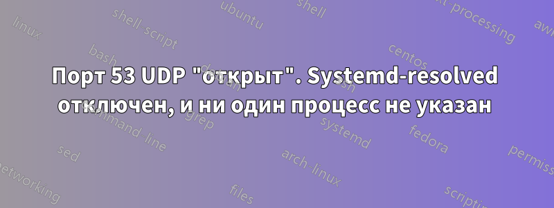 Порт 53 UDP "открыт". Systemd-resolved отключен, и ни один процесс не указан