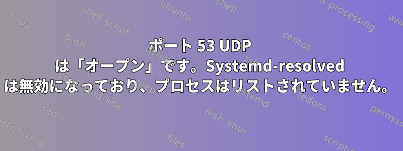 ポート 53 UDP は「オープン」です。Systemd-resolved は無効になっており、プロセスはリストされていません。