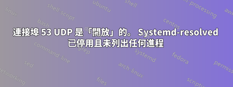 連接埠 53 UDP 是「開放」的。 Systemd-resolved 已停用且未列出任何進程