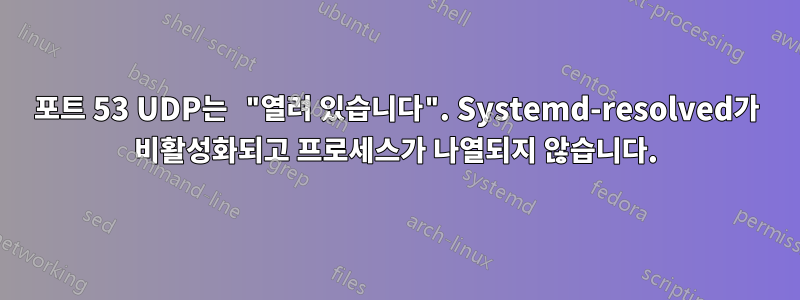 포트 53 UDP는 "열려 있습니다". Systemd-resolved가 비활성화되고 프로세스가 나열되지 않습니다.