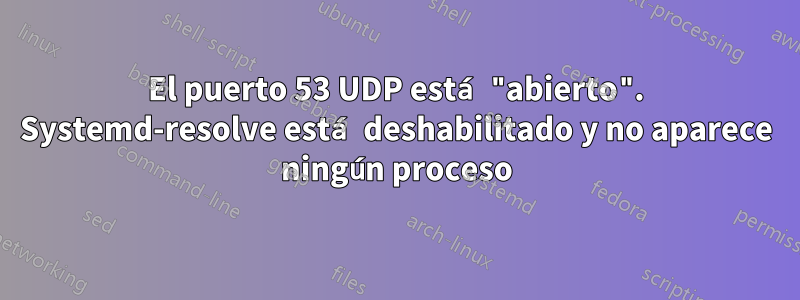 El puerto 53 UDP está "abierto". Systemd-resolve está deshabilitado y no aparece ningún proceso