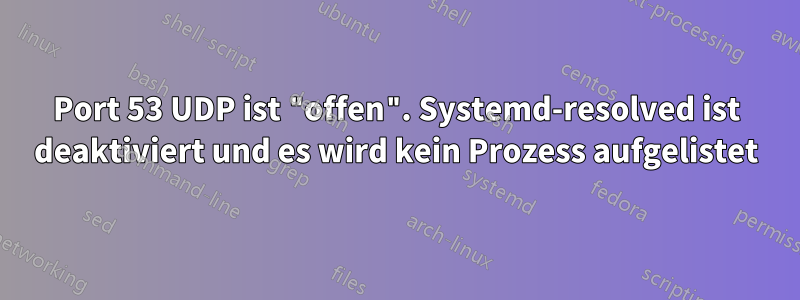 Port 53 UDP ist "offen". Systemd-resolved ist deaktiviert und es wird kein Prozess aufgelistet