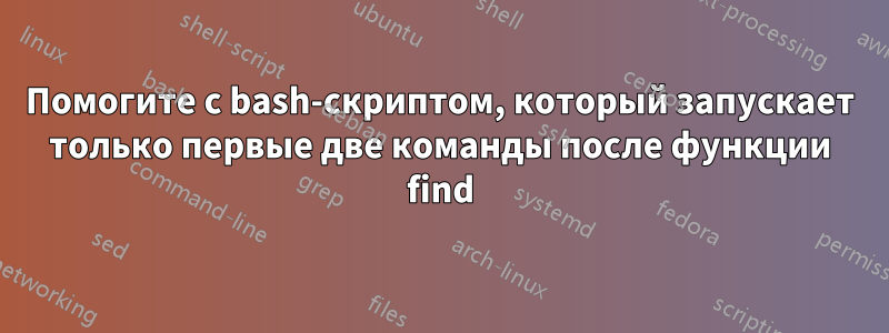 Помогите с bash-скриптом, который запускает только первые две команды после функции find