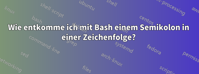 Wie entkomme ich mit Bash einem Semikolon in einer Zeichenfolge?