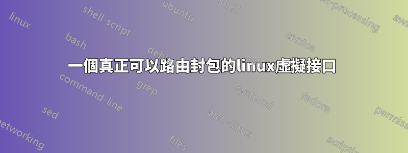 一個真正可以路由封包的linux虛擬接口