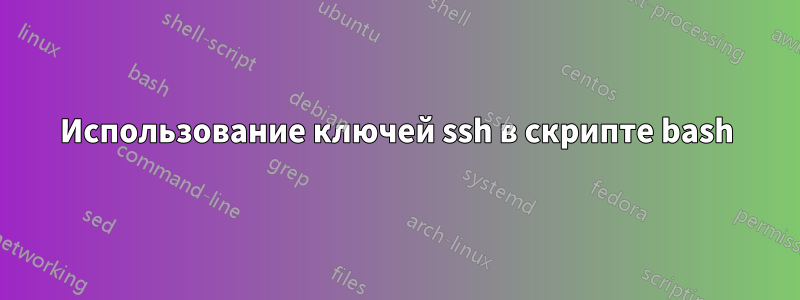 Использование ключей ssh ​​в скрипте bash