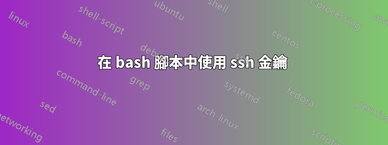 在 bash 腳本中使用 ssh 金鑰