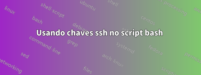 Usando chaves ssh no script bash