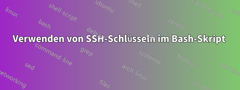 Verwenden von SSH-Schlüsseln im Bash-Skript