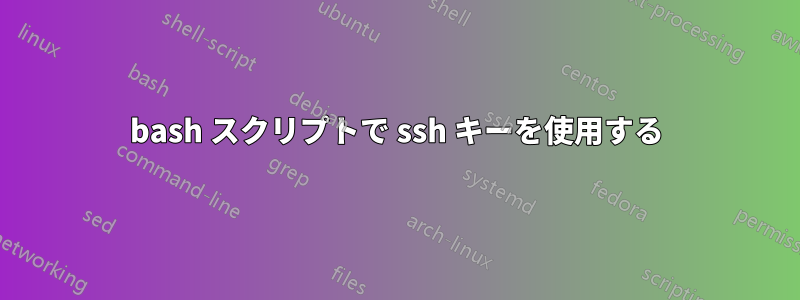 bash スクリプトで ssh キーを使用する