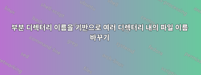 부분 디렉터리 이름을 기반으로 여러 디렉터리 내의 파일 이름 바꾸기