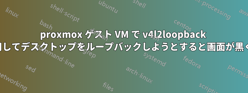 proxmox ゲスト VM で v4l2loopback を使用してデスクトップをループバックしようとすると画面が黒くなる