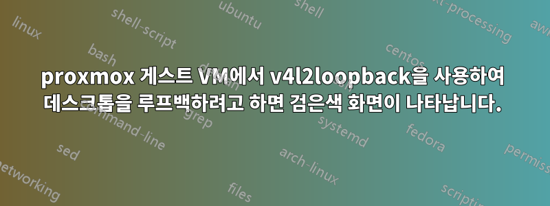 proxmox 게스트 VM에서 v4l2loopback을 사용하여 데스크톱을 루프백하려고 하면 검은색 화면이 나타납니다.