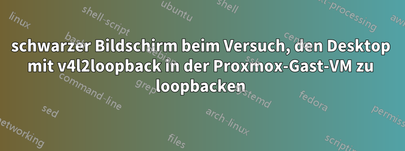 schwarzer Bildschirm beim Versuch, den Desktop mit v4l2loopback in der Proxmox-Gast-VM zu loopbacken