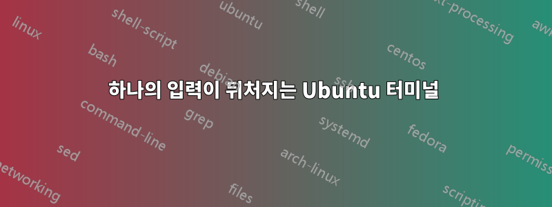 하나의 입력이 뒤처지는 Ubuntu 터미널