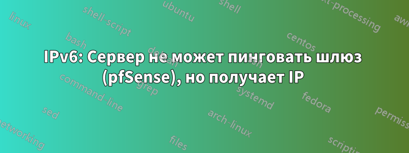 IPv6: Сервер не может пинговать шлюз (pfSense), но получает IP