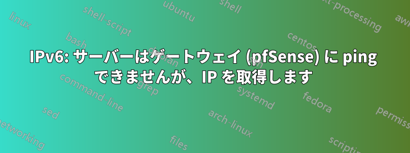 IPv6: サーバーはゲートウェイ (pfSense) に ping できませんが、IP を取得します