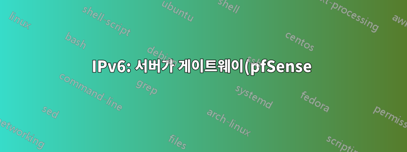 IPv6: 서버가 게이트웨이(pfSense)를 ping할 수 없지만 IP를 얻습니다.