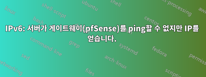 IPv6: 서버가 게이트웨이(pfSense)를 ping할 수 없지만 IP를 얻습니다.