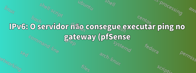 IPv6: O servidor não consegue executar ping no gateway (pfSense), mas obtém IP