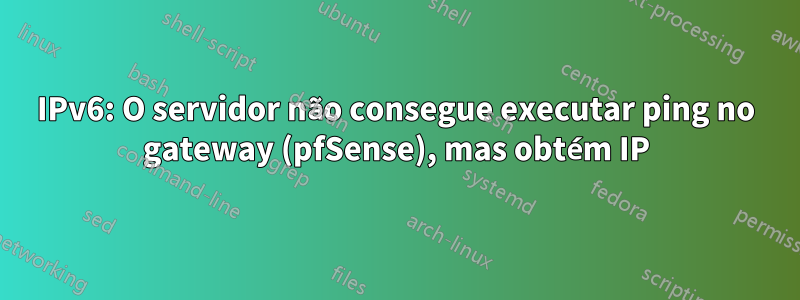 IPv6: O servidor não consegue executar ping no gateway (pfSense), mas obtém IP