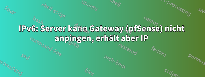 IPv6: Server kann Gateway (pfSense) nicht anpingen, erhält aber IP