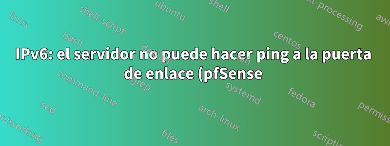 IPv6: el servidor no puede hacer ping a la puerta de enlace (pfSense) pero obtiene IP