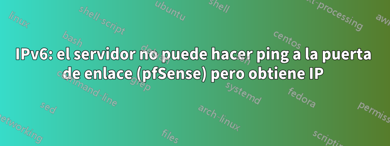 IPv6: el servidor no puede hacer ping a la puerta de enlace (pfSense) pero obtiene IP