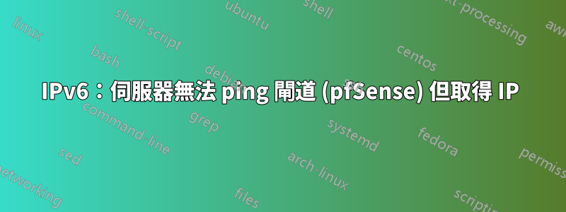 IPv6：伺服器無法 ping 閘道 (pfSense) 但取得 IP