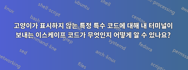 고양이가 표시하지 않는 특정 특수 코드에 대해 내 터미널이 보내는 이스케이프 코드가 무엇인지 어떻게 알 수 있나요?