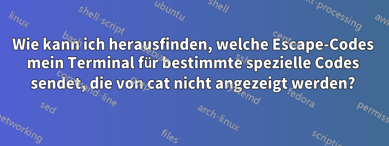 Wie kann ich herausfinden, welche Escape-Codes mein Terminal für bestimmte spezielle Codes sendet, die von cat nicht angezeigt werden?