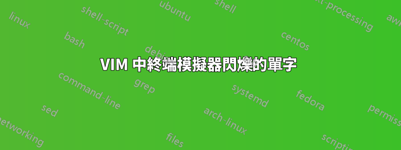 VIM 中終端模擬器閃爍的單字