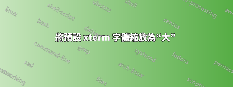 將預設 xterm 字體縮放為“大”