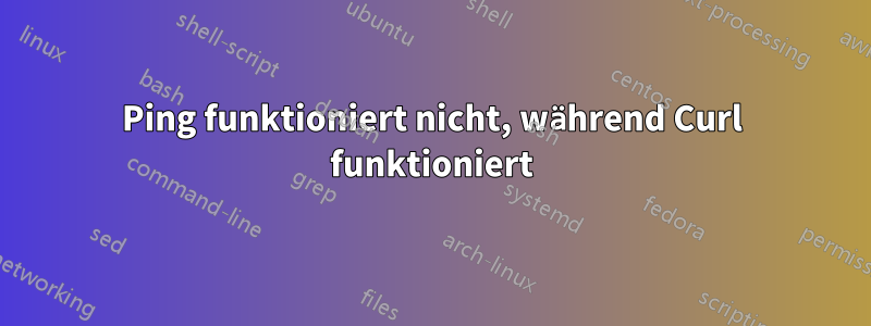 Ping funktioniert nicht, während Curl funktioniert