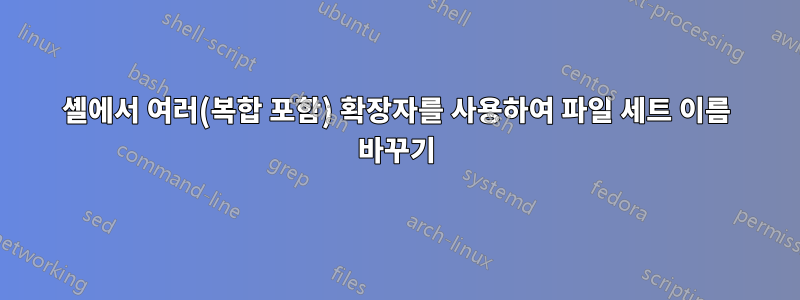 셸에서 여러(복합 포함) 확장자를 사용하여 파일 세트 이름 바꾸기