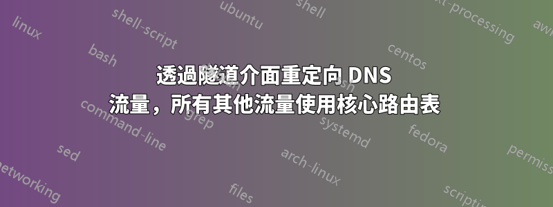 透過隧道介面重定向 DNS 流量，所有其他流量使用核心路由表