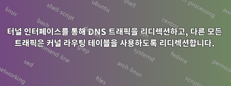 터널 인터페이스를 통해 DNS 트래픽을 리디렉션하고, 다른 모든 트래픽은 커널 라우팅 테이블을 사용하도록 리디렉션합니다.